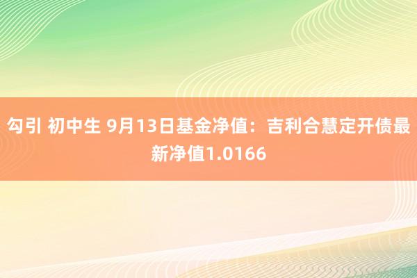 勾引 初中生 9月13日基金净值：吉利合慧定开债最新净值1.0166