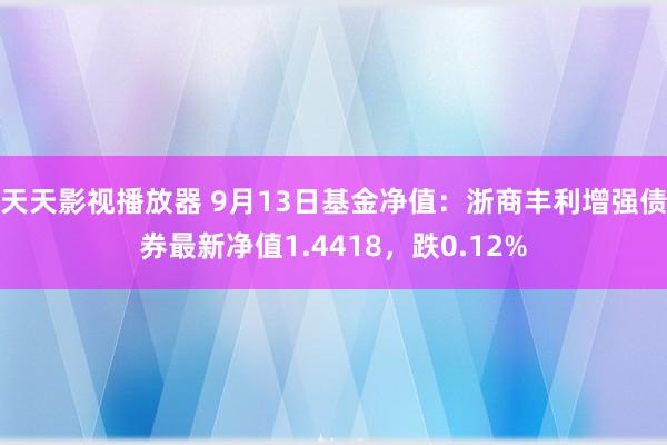 天天影视播放器 9月13日基金净值：浙商丰利增强债券最新净值1.4418，跌0.12%