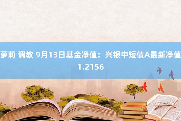 萝莉 调教 9月13日基金净值：兴银中短债A最新净值1.2156