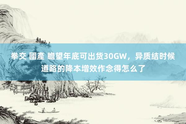 拳交 國產 瞻望年底可出货30GW，异质结时候道路的降本增效作念得怎么了