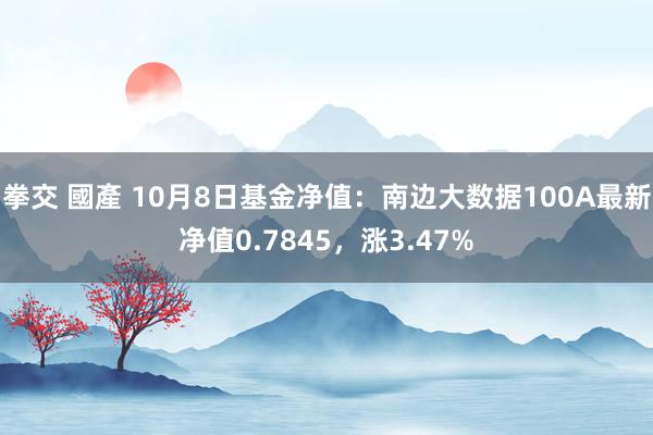 拳交 國產 10月8日基金净值：南边大数据100A最新净值0.7845，涨3.47%