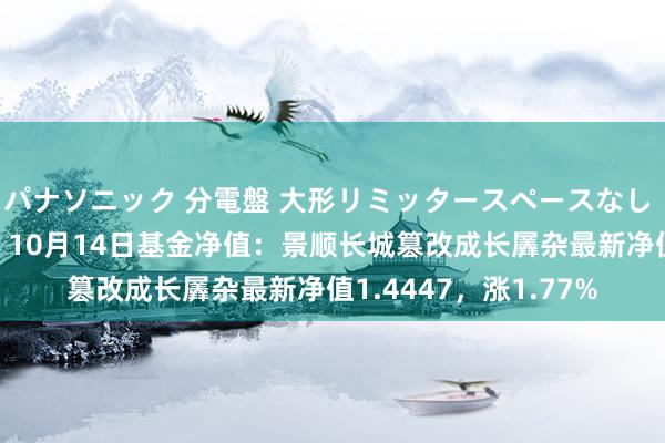 パナソニック 分電盤 大形リミッタースペースなし 露出・半埋込両用形 10月14日基金净值：景顺长城篡改成长羼杂最新净值1.4447，涨1.77%