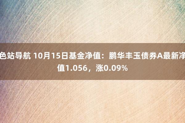 色站导航 10月15日基金净值：鹏华丰玉债券A最新净值1.056，涨0.09%