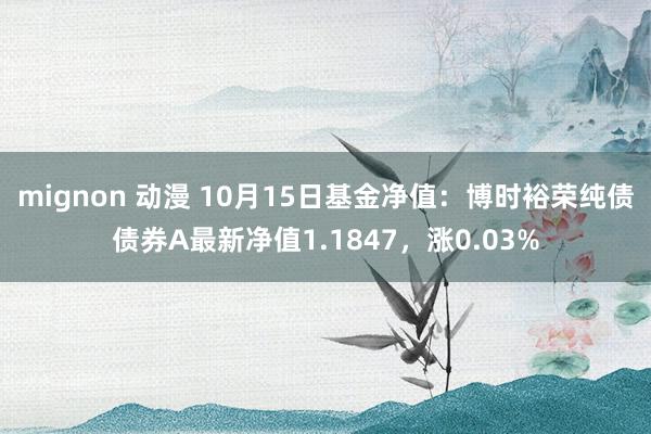 mignon 动漫 10月15日基金净值：博时裕荣纯债债券A最新净值1.1847，涨0.03%