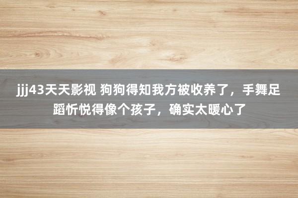 jjj43天天影视 狗狗得知我方被收养了，手舞足蹈忻悦得像个孩子，确实太暖心了