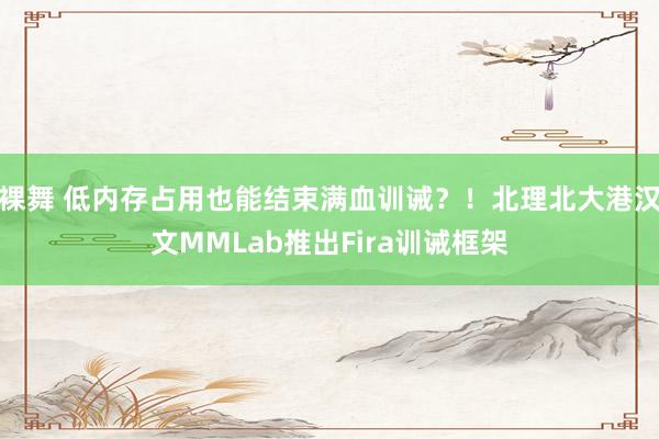 裸舞 低内存占用也能结束满血训诫？！北理北大港汉文MMLab推出Fira训诫框架