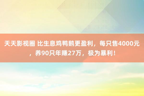 天天影视圈 比生息鸡鸭鹅更盈利，每只售4000元，养90只年赚27万，极为暴利！