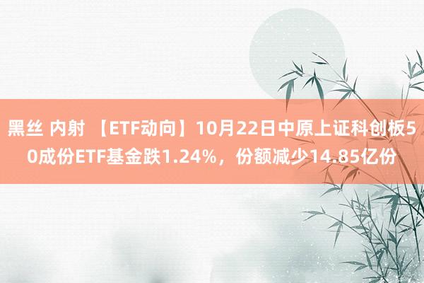 黑丝 内射 【ETF动向】10月22日中原上证科创板50成份ETF基金跌1.24%，份额减少14.85亿份