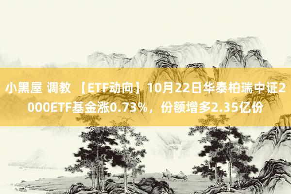 小黑屋 调教 【ETF动向】10月22日华泰柏瑞中证2000ETF基金涨0.73%，份额增多2.35亿份