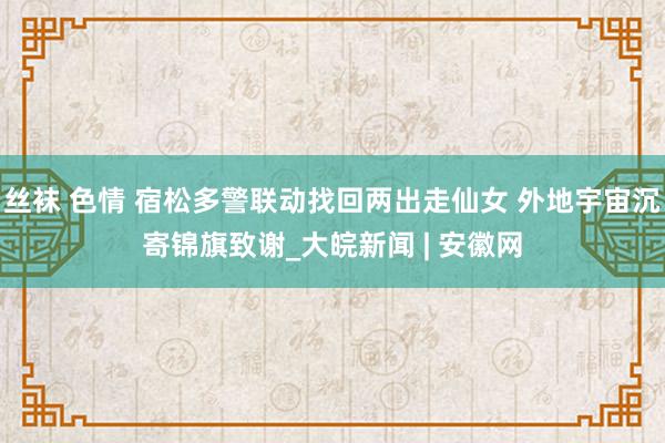 丝袜 色情 宿松多警联动找回两出走仙女 外地宇宙沉寄锦旗致谢_大皖新闻 | 安徽网