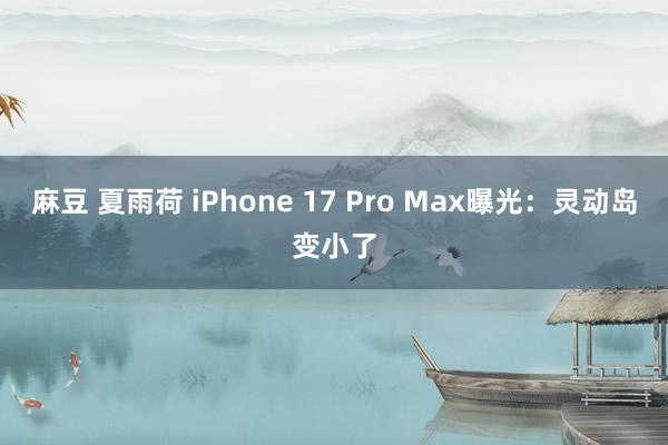 麻豆 夏雨荷 iPhone 17 Pro Max曝光：灵动岛变小了