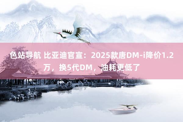 色站导航 比亚迪官宣：2025款唐DM-i降价1.2万，换5代DM，油耗更低了