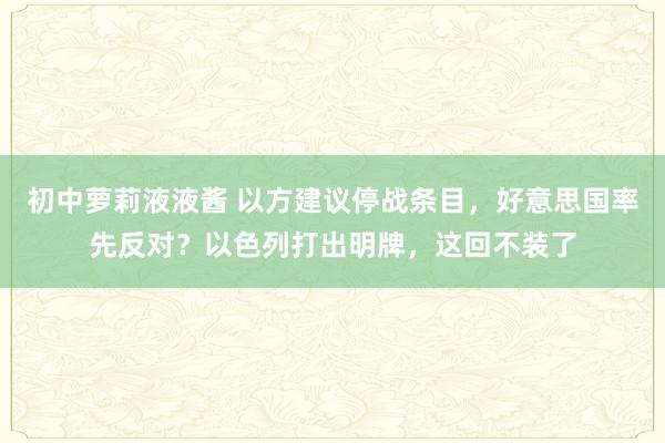 初中萝莉液液酱 以方建议停战条目，好意思国率先反对？以色列打出明牌，这回不装了