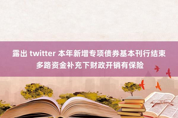 露出 twitter 本年新增专项债券基本刊行结束 多路资金补充下财政开销有保险