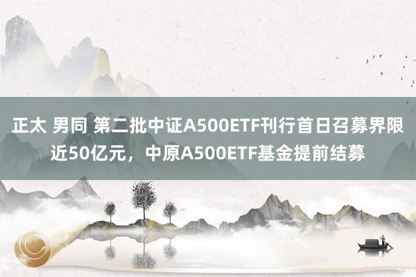 正太 男同 第二批中证A500ETF刊行首日召募界限近50亿元，中原A500ETF基金提前结募