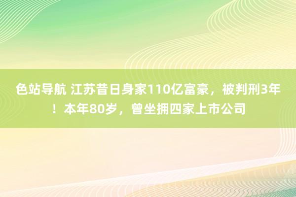 色站导航 江苏昔日身家110亿富豪，被判刑3年！本年80岁，曾坐拥四家上市公司