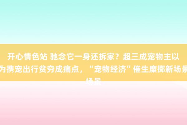 开心情色站 驰念它一身还拆家？超三成宠物主以为携宠出行贫穷成痛点，“宠物经济”催生糜掷新场景