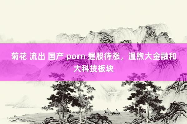 菊花 流出 国产 porn 握股待涨，温煦大金融和大科技板块