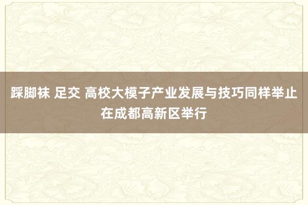 踩脚袜 足交 高校大模子产业发展与技巧同样举止在成都高新区举行