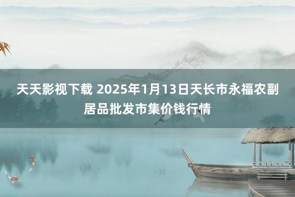 天天影视下载 2025年1月13日天长市永福农副居品批发市集价钱行情